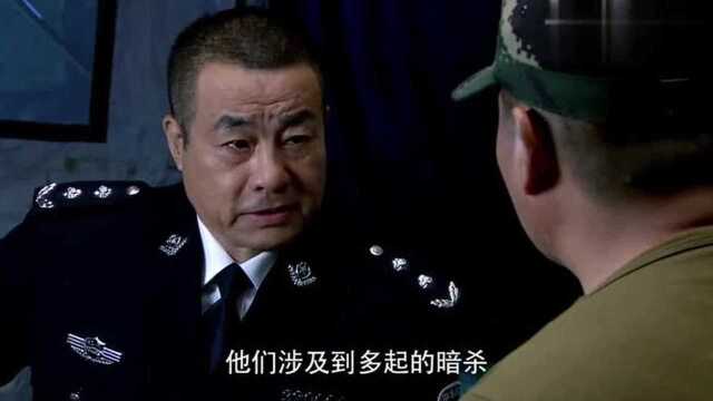 国际杀手蝎子多次暗杀企业家,而他最亲密手下回国,警方准备收网