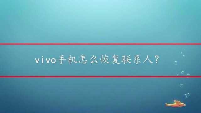 vivo手机怎么恢复联系人?