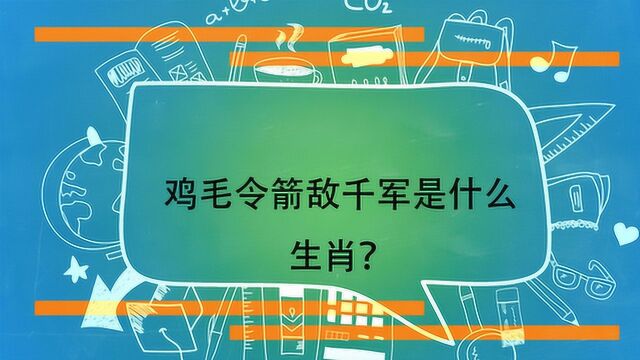 鸡毛令箭敌千军是什么生肖?