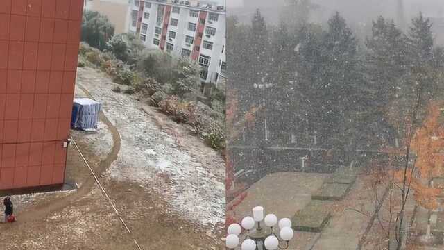 吉林省多地出现降雪 部分降雪较大区域能看见积雪