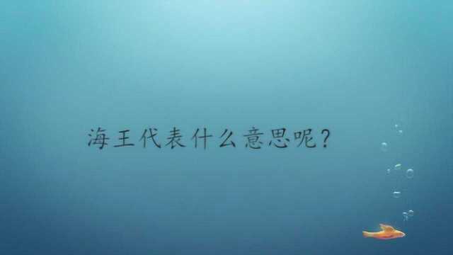 海王代表什么意思呢?