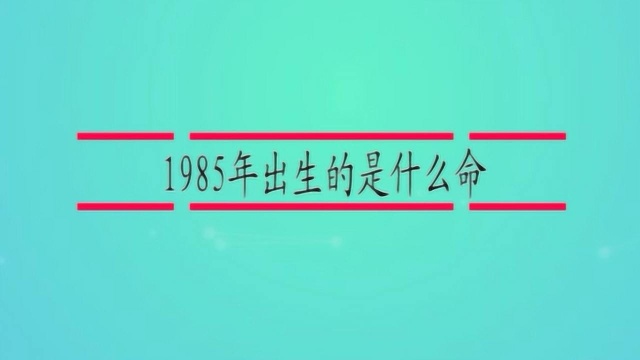 1985年出生的是什么命