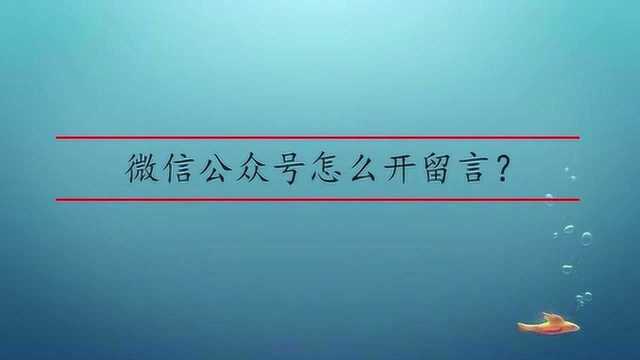 微信公众号怎么开留言?