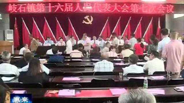 岐石镇召开第十六届人民代表大会