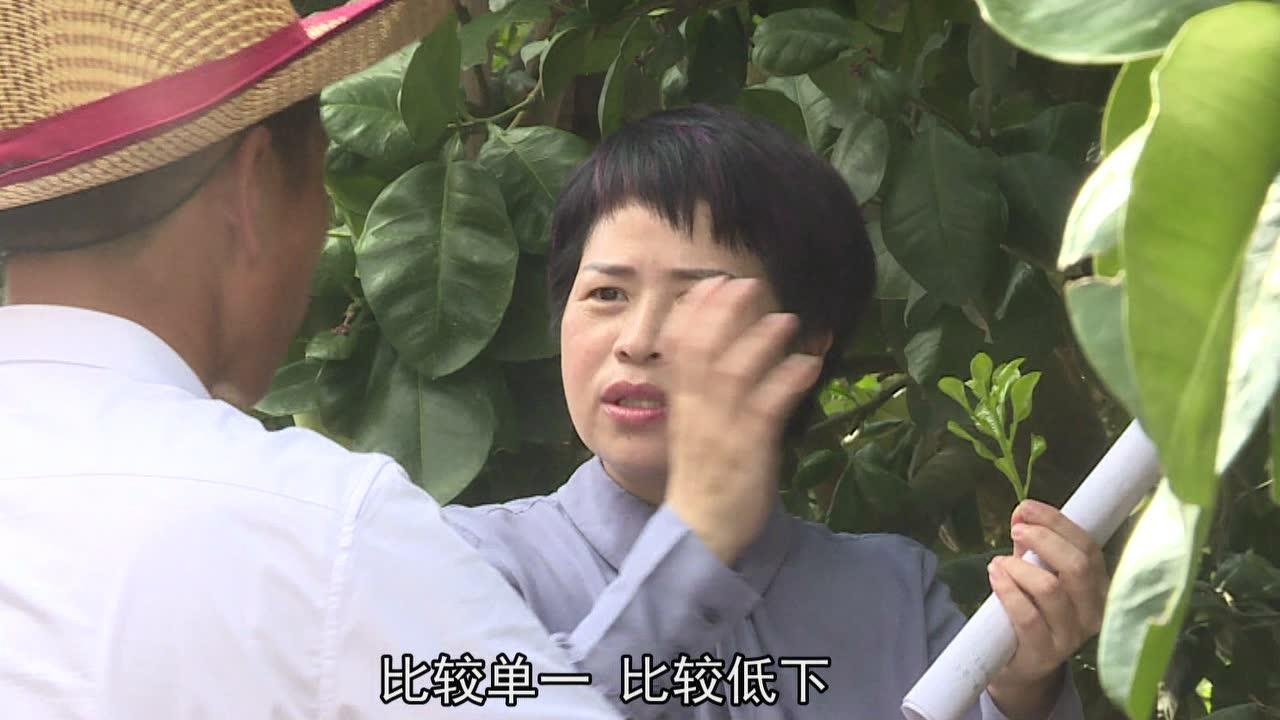 党政办林初平