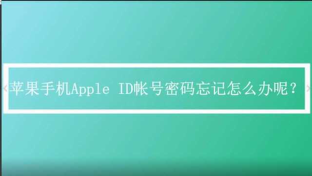 苹果手机Apple ID密码忘记怎么办呢?