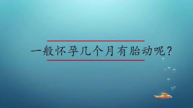 一般怀孕几个月有胎动呢?