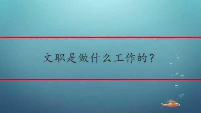 文职是做什么工作的?