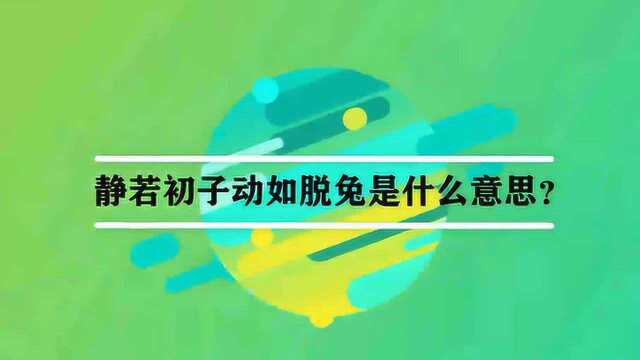 静若初子动如脱兔是什么意思?