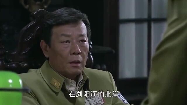 李振昌成了国军的副师长,彻底将李振武给顶替了,兄弟反目了