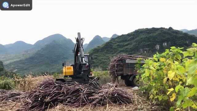 原来轮式挖掘机干抓木机的活,也这么高效啊