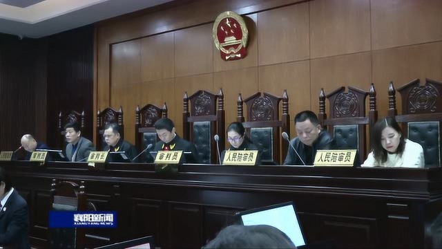 枣阳市人民法院开审徐杨等13人涉黑案