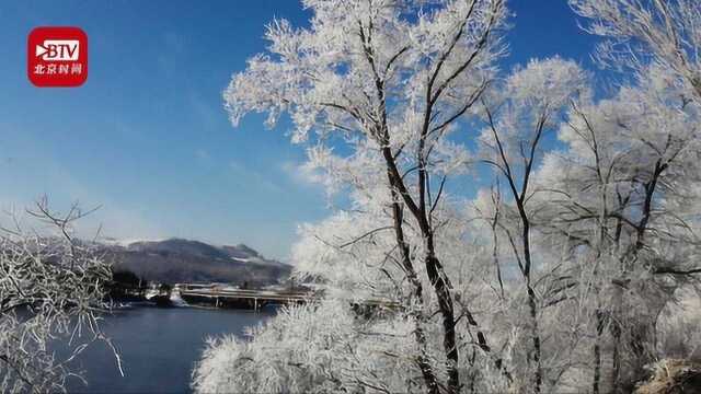 吉林红石国家森林公园现今冬首场雾凇 30公里长雾凇带美轮美奂