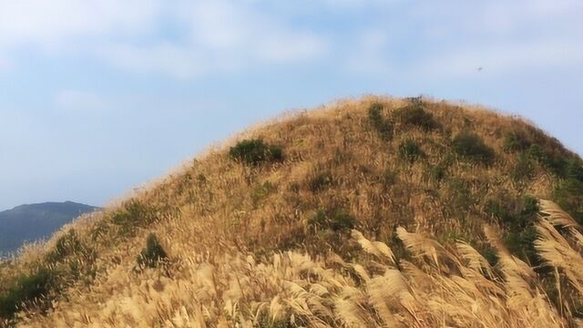 福建有一处神秘高山,半坡是原始森林,顶峰丛林处还有田地和房子