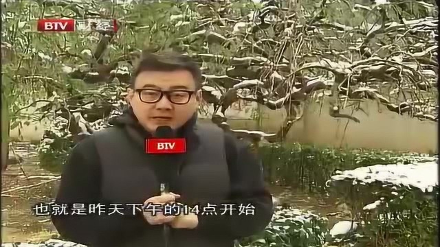 北京喜迎今冬初雪 此次降雪全市平均雪量达到中雪