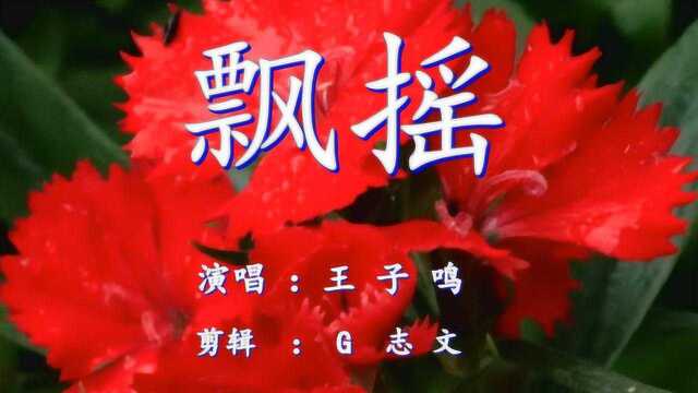 《飘摇》我飘啊飘 你摇啊摇 无根的野草