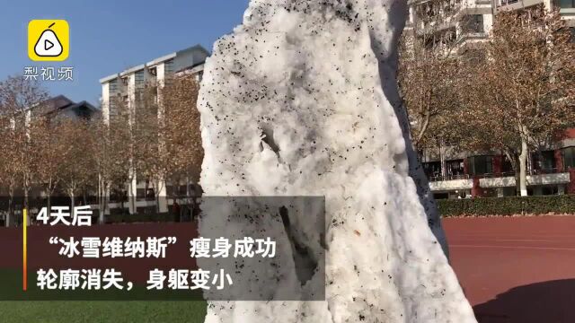 冰雪维纳斯走红后的第4天:又“瘦”又“丑”,热度不减