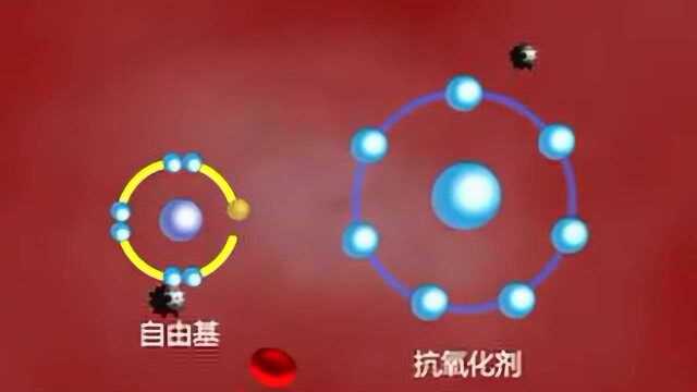 衰老与癌症的克星——抗氧化极品