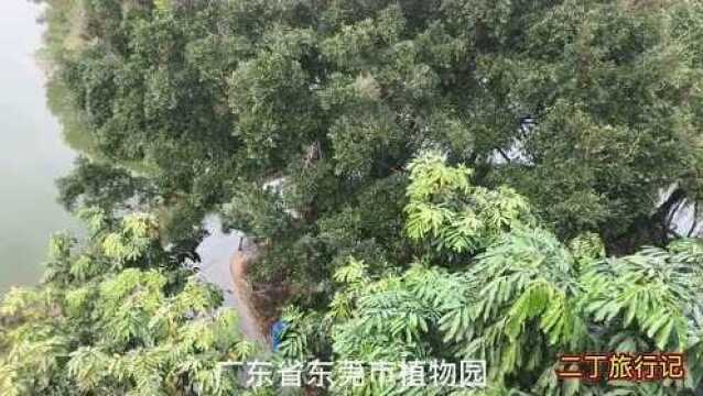 东莞市植物园