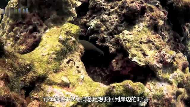 男子在深海潜水,发现有神秘“人脸头像”,上岸后选择报警