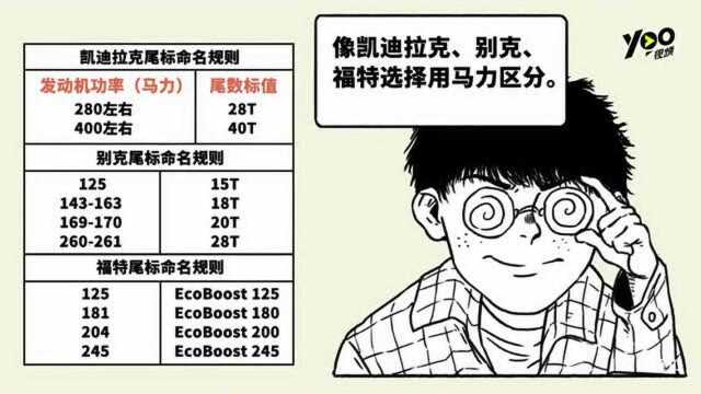 从车尾的数字标识!能看出哪些有用信息?!