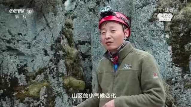 考察队发现,这个山洞只是紫柏山的落水洞之一