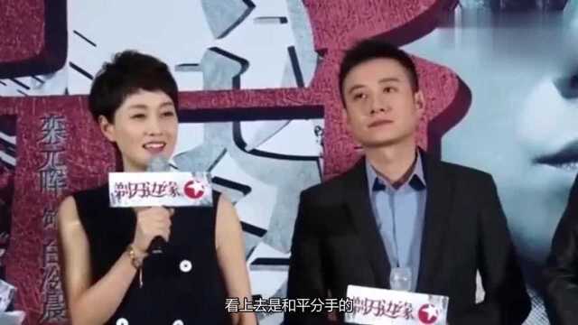 文章出轨5年后离婚,文章或再踩到马伊琍的底线