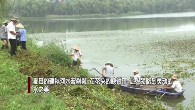 邳州夏日的建秋河!