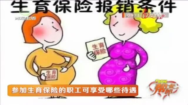 参加生育保险的职工可享受哪些待遇