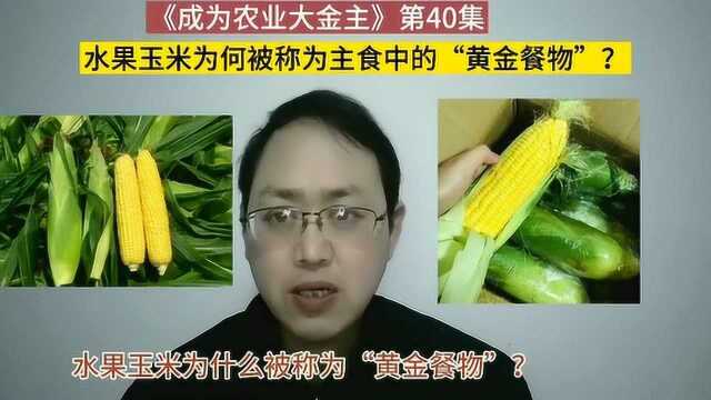 第40集 水果玉米为什么被称为主食中的“黄金餐物”?专家告诉你