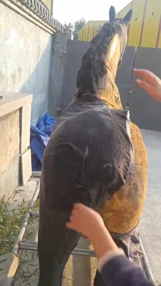 Thumbplayer Poster Plugin Image