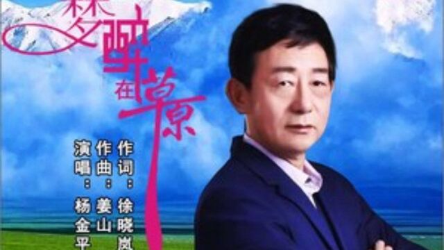 梦醉在草原 演唱:杨金平 作词:徐晓岚 作曲:姜山