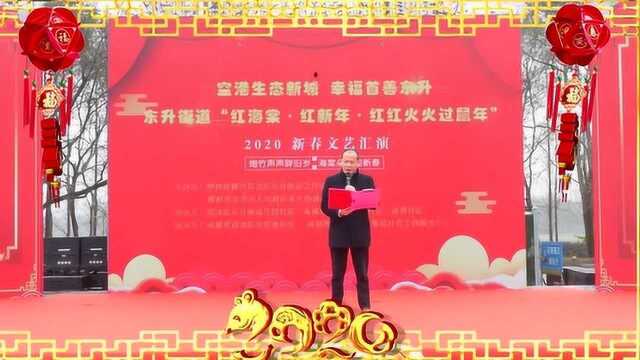 2020年东升街道新春文艺汇演花絮