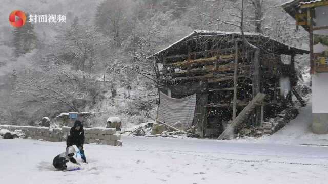 瑞雪迎新年 四川硗碛藏乡喜降大雪