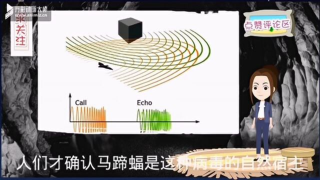 蝙蝠带来死亡的阴影,近年来蝙蝠传播的人畜共患病毒盘点