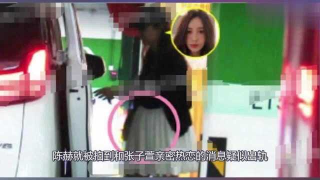 陈赫再次出轨圈内女明星?女方亲自下场开撕,网友:心疼张子萱