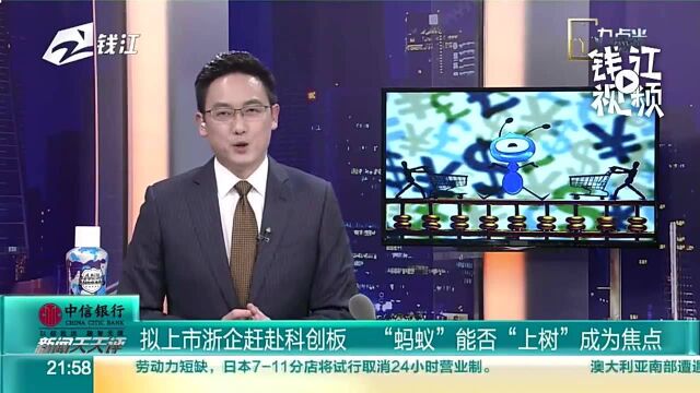 拟上市浙企赶赴科创板蚂蚁金服能否“上树”成为焦点