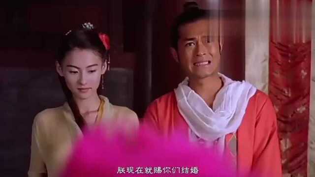 影视:这段看着好甜,古天乐颜值耐看,万万没想到演技也很在线