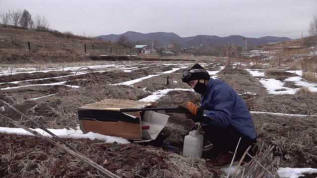 闪电园艺1: 建造露天迷你小仓库,如何利用废旧沙发做改造!