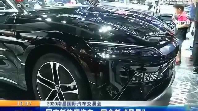 【2020南昌国际汽车交易会】国产新能源汽车 展会新“风景”