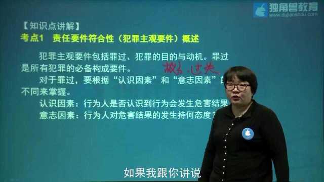 2020法考刑法杨艳霞:责任要件符合性概述