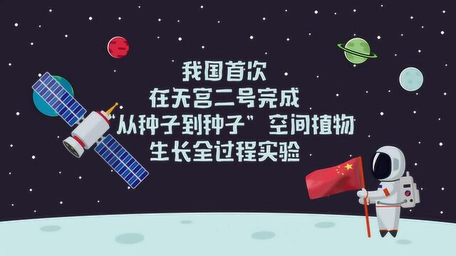 种在太空中的水稻长什么样?