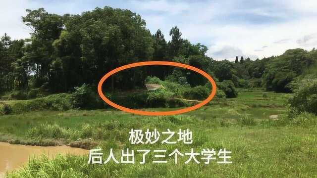 村里发现一块极妙之地,家里后代出了3个大学生,走近一看不得了