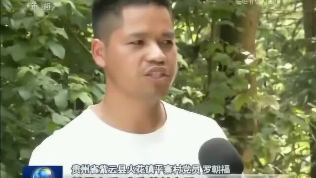 贵州紫云:党建链上产业链 助农户闯市场