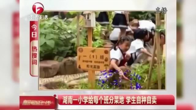 湖南一小学给每个班分菜地 学生自种自卖