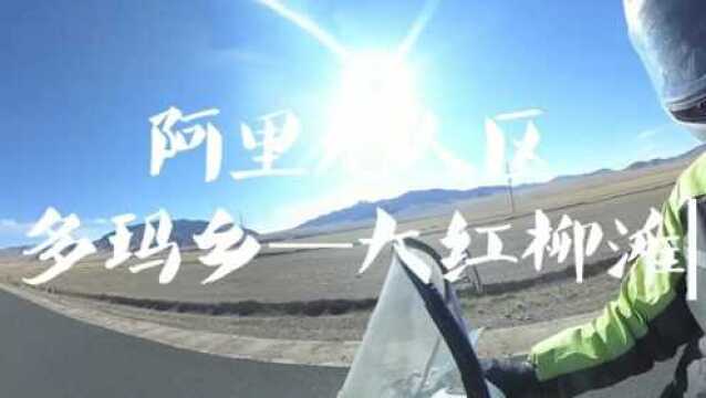 《藏疆日记》摩旅踏板阿里无人区多玛乡一大红柳滩303