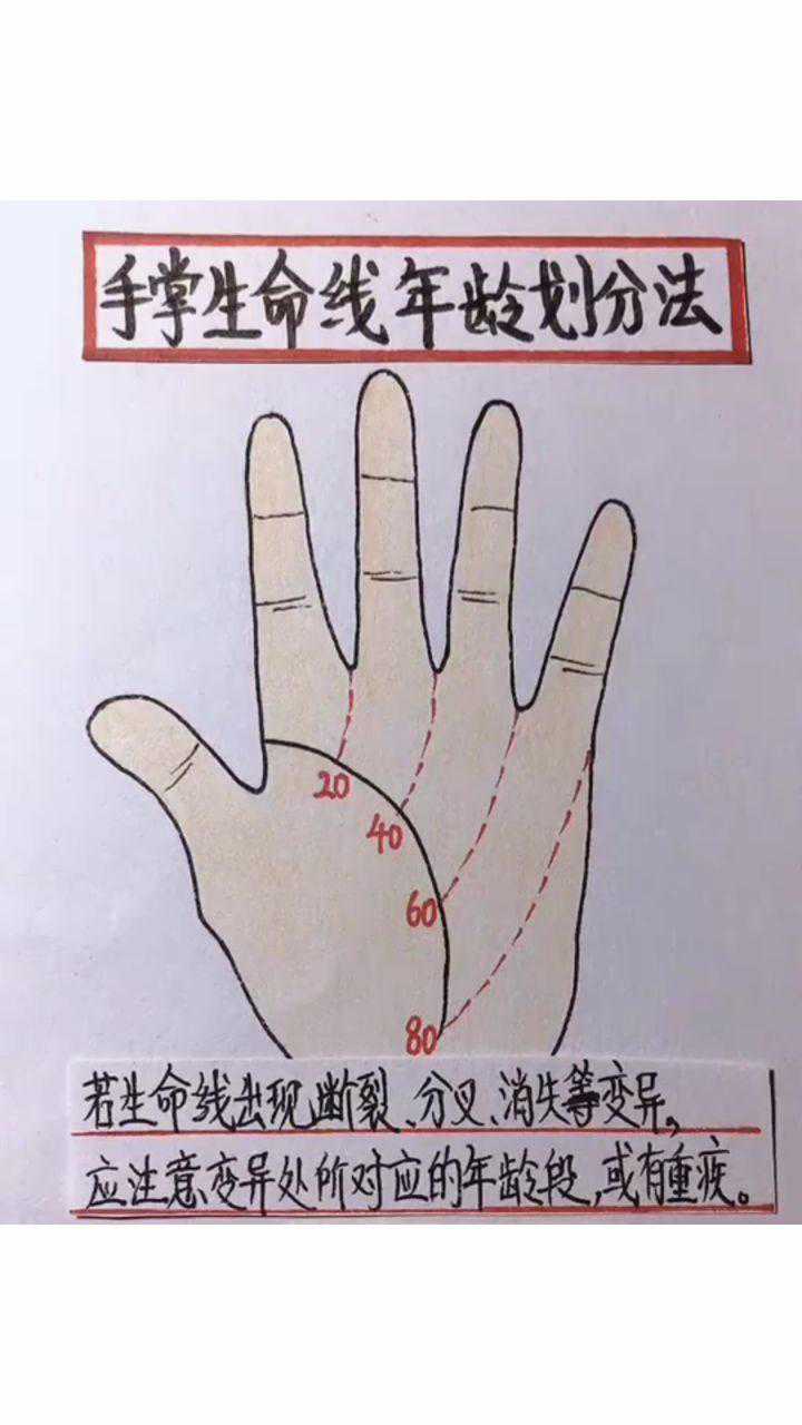 手掌生命线年龄划分法