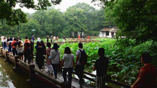 黄梅时节家家雨,美景还看天平山