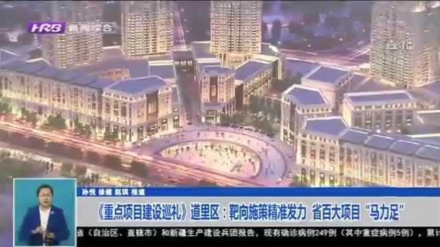 聚焦重点项目建设!道里区:靶向施策精准发力 省百大项目马力足