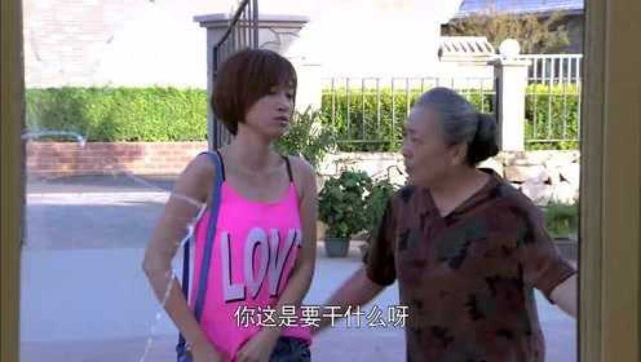 麻辣芳邻杨琴把老杨玻璃砸了怎料丽丽直接报警闯大祸了